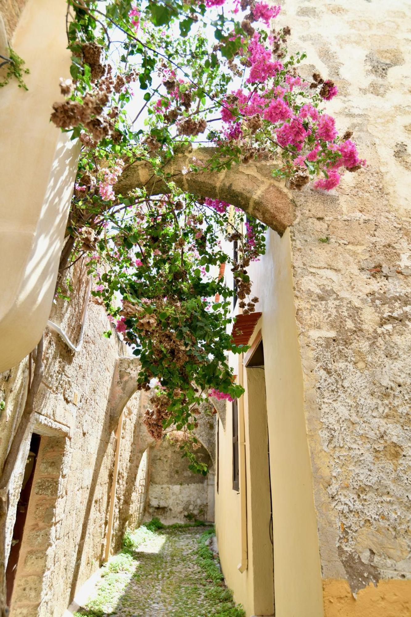 דירות Rhodes City Penelope Garden House Old Town מראה חיצוני תמונה