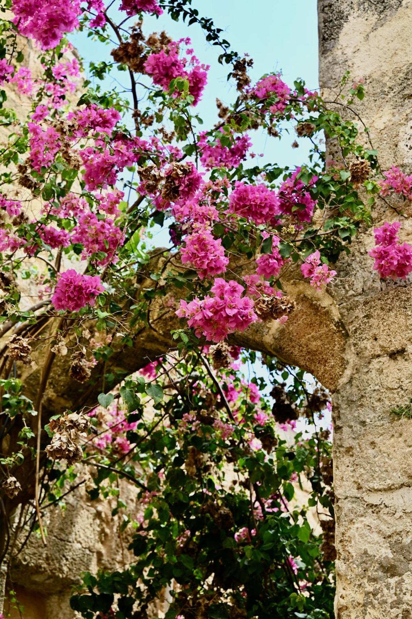 דירות Rhodes City Penelope Garden House Old Town מראה חיצוני תמונה