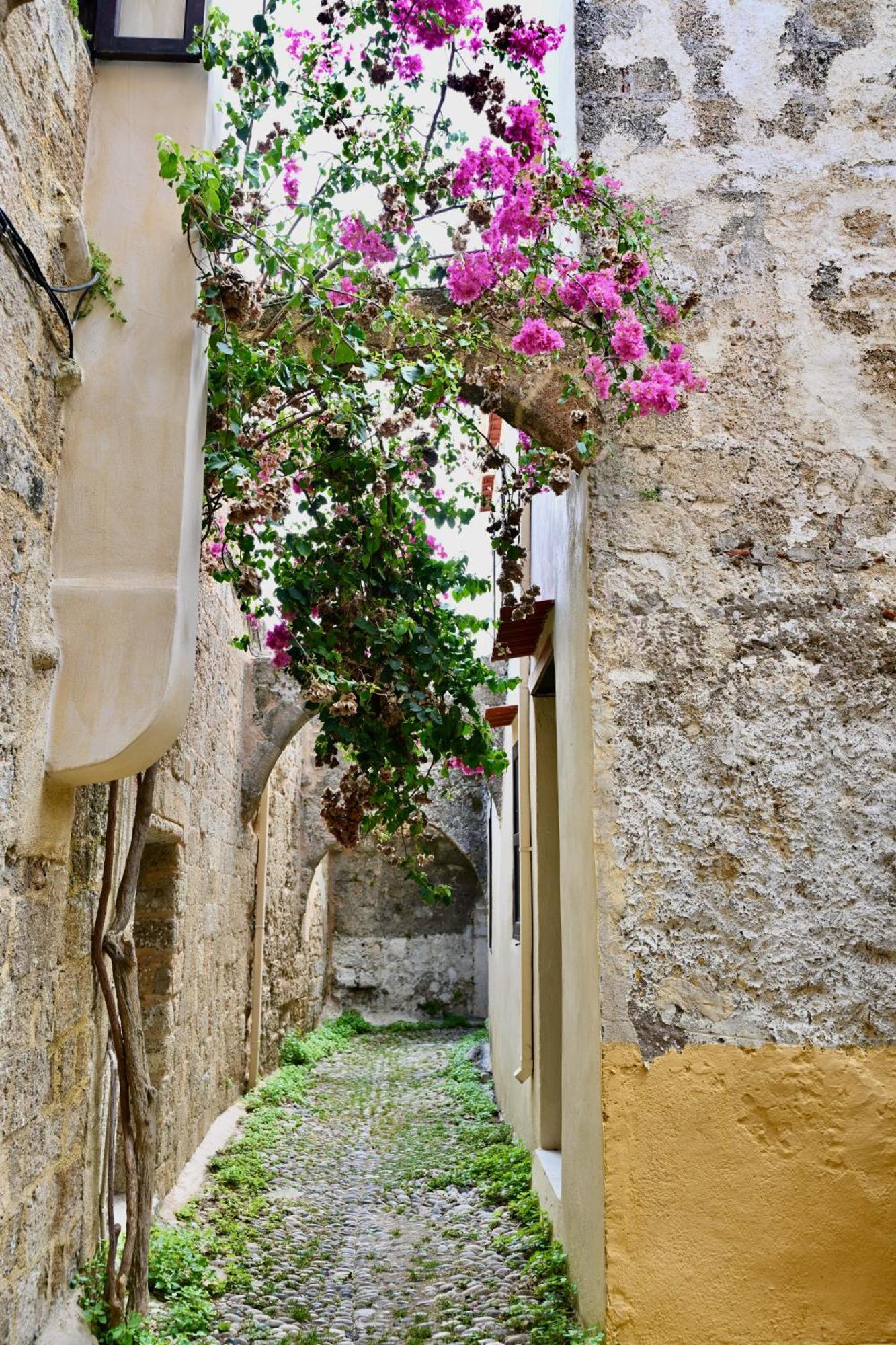 דירות Rhodes City Penelope Garden House Old Town מראה חיצוני תמונה